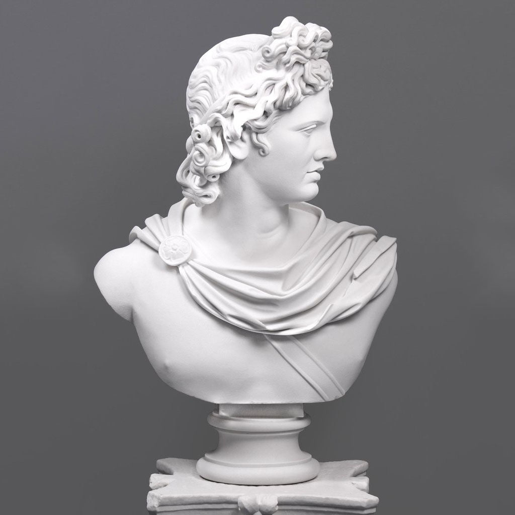 Apollo Belvedere Bust (Large)