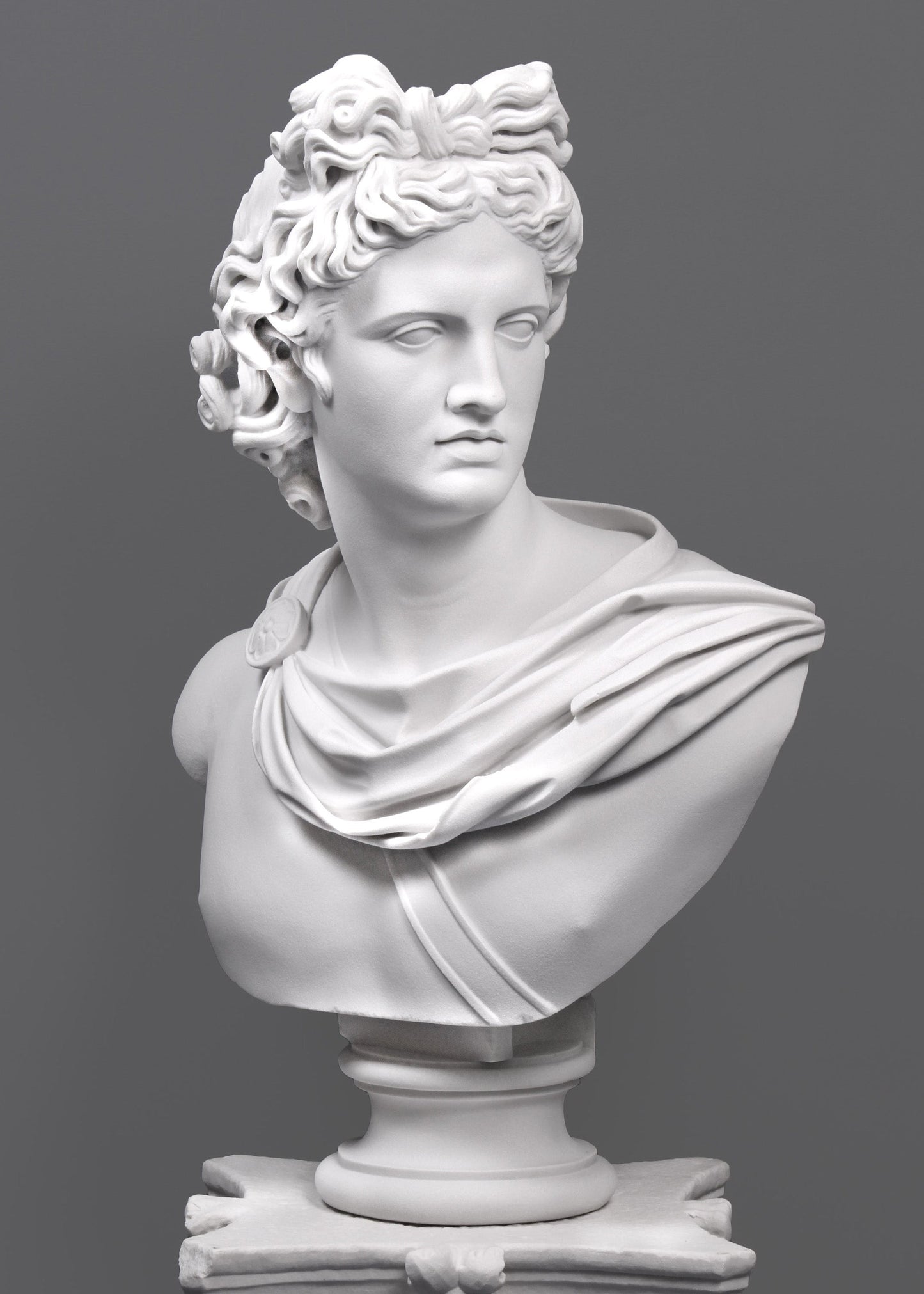 Apollo Belvedere Bust (Large)