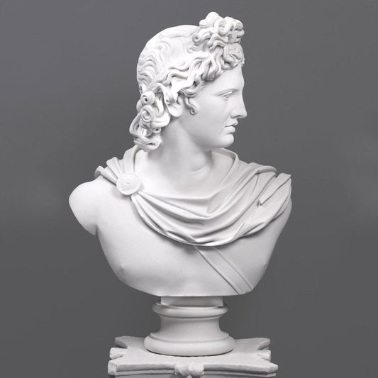 Apollo Belvedere Bust (Large)